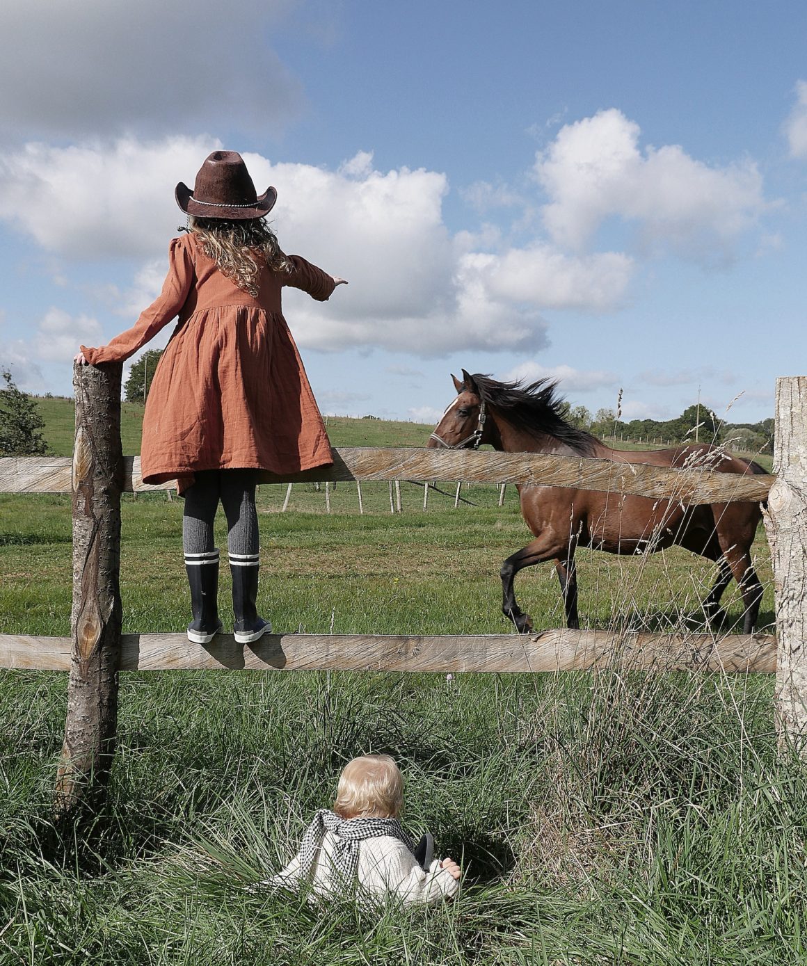 Les chevaux du Country Lodge