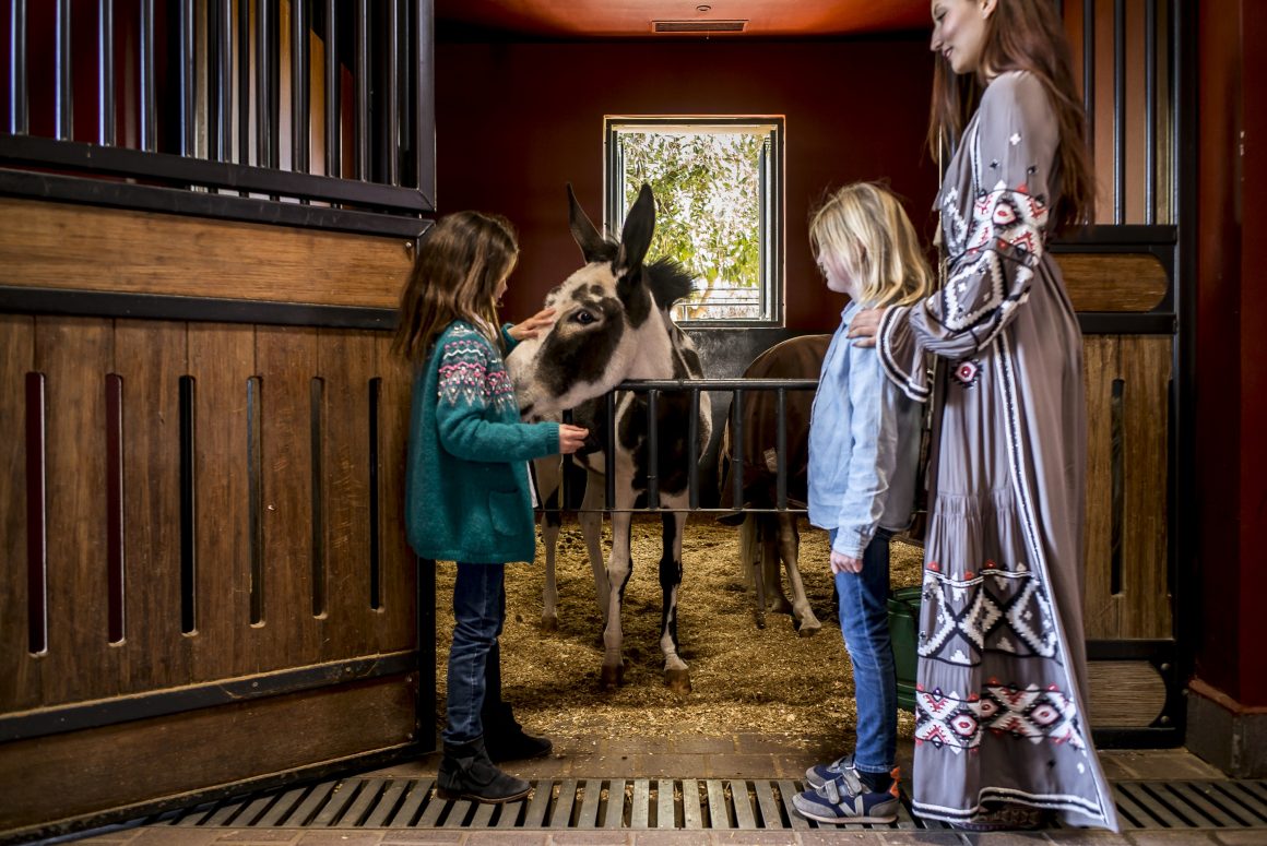 Les poneys du Selman Marrakech avec des enfants