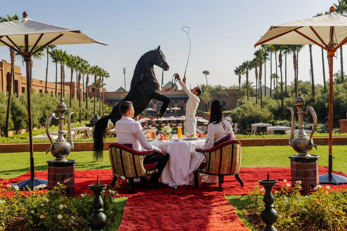 Présentation des étalons au Selman Marrakech