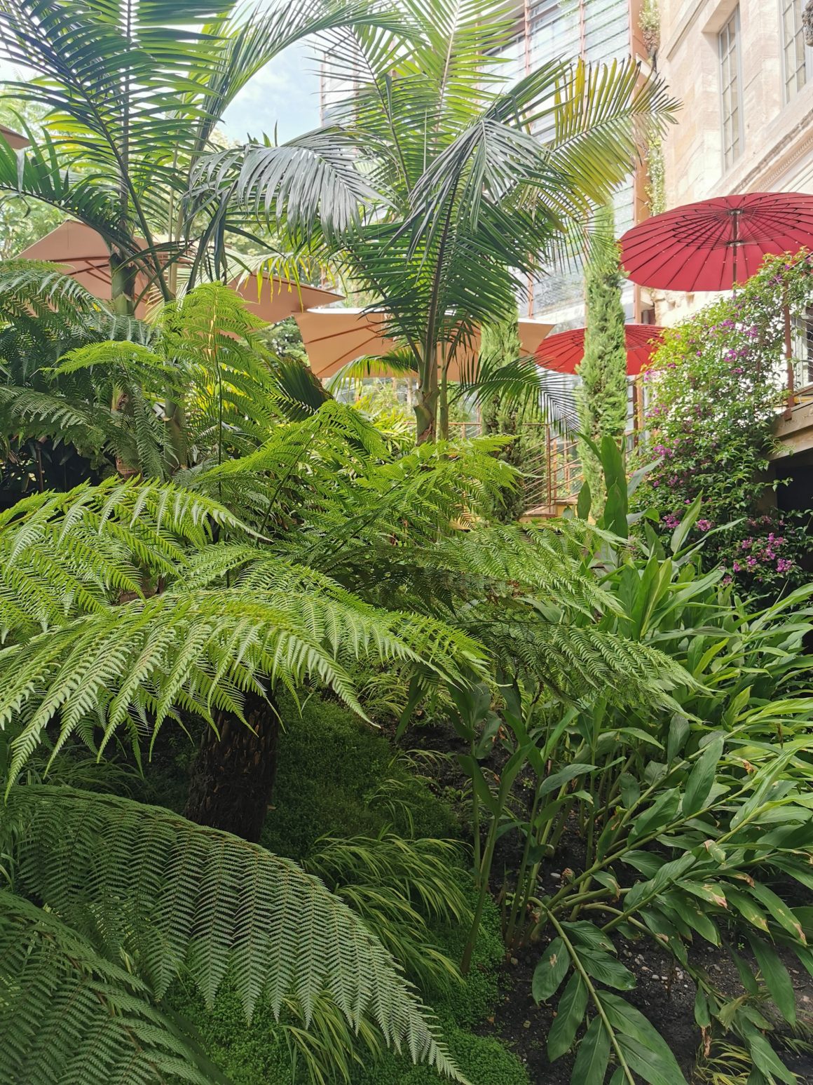 150 espèces de plantes poussent à l'hôtel La Zoologie