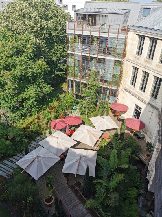 À Bordeaux, Option Zoologie